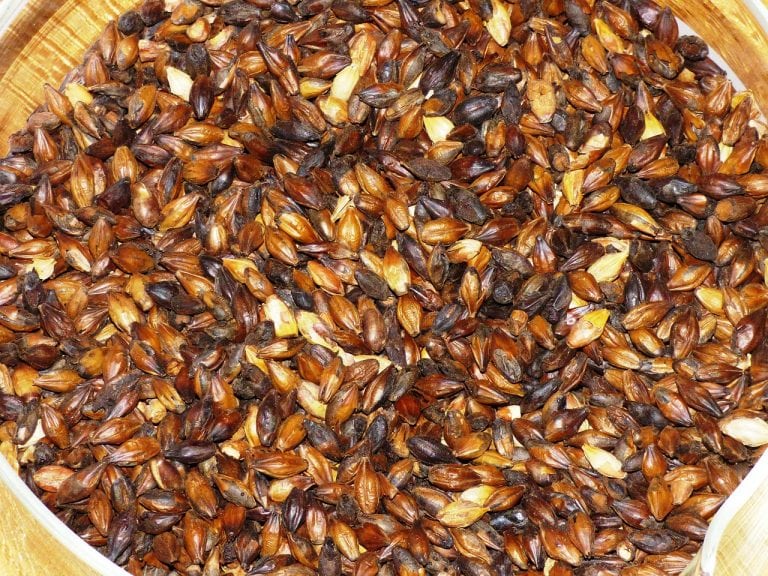 Malt vs Grain Whisky Whats The Difference? WhiskeyBon